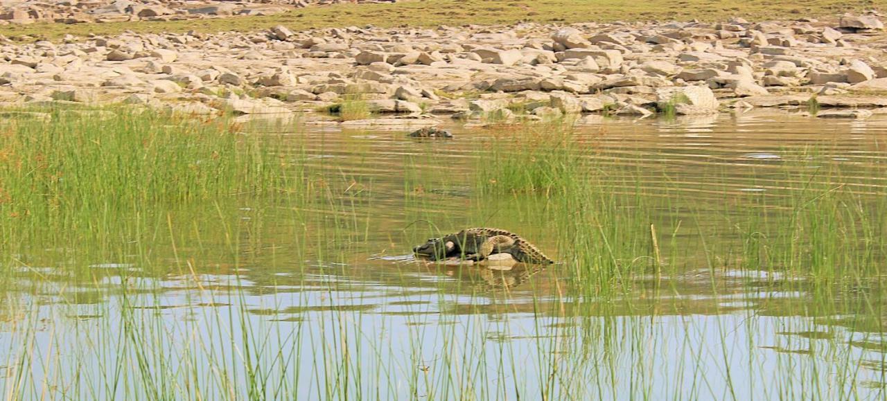 Bhadrawati - A Riverside Safari Lodge Ranthambore Exterior photo